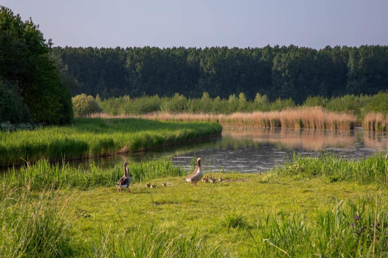 OoltgensplaatWaterlandアパートメント エクステリア 写真