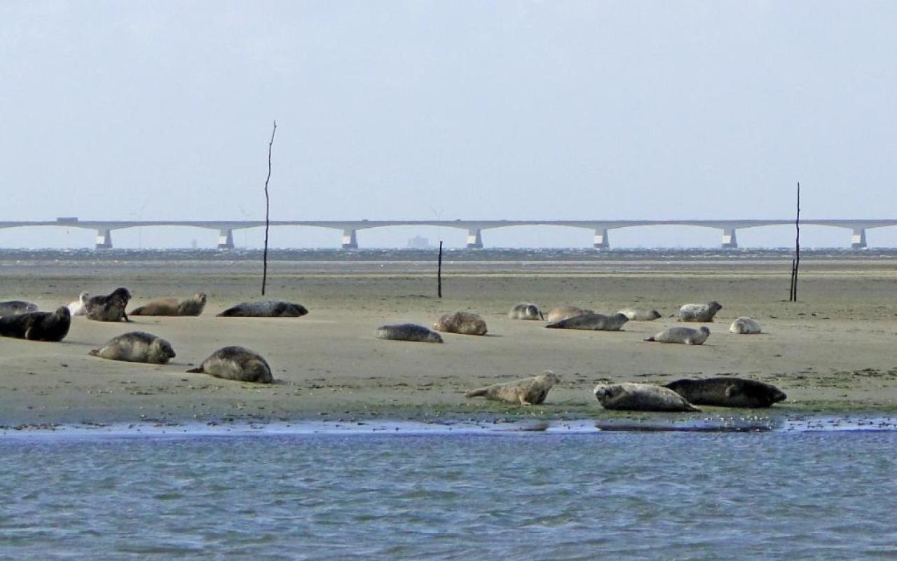 OoltgensplaatWaterlandアパートメント エクステリア 写真